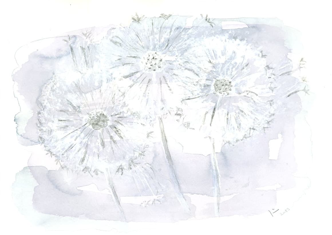 Dandelion