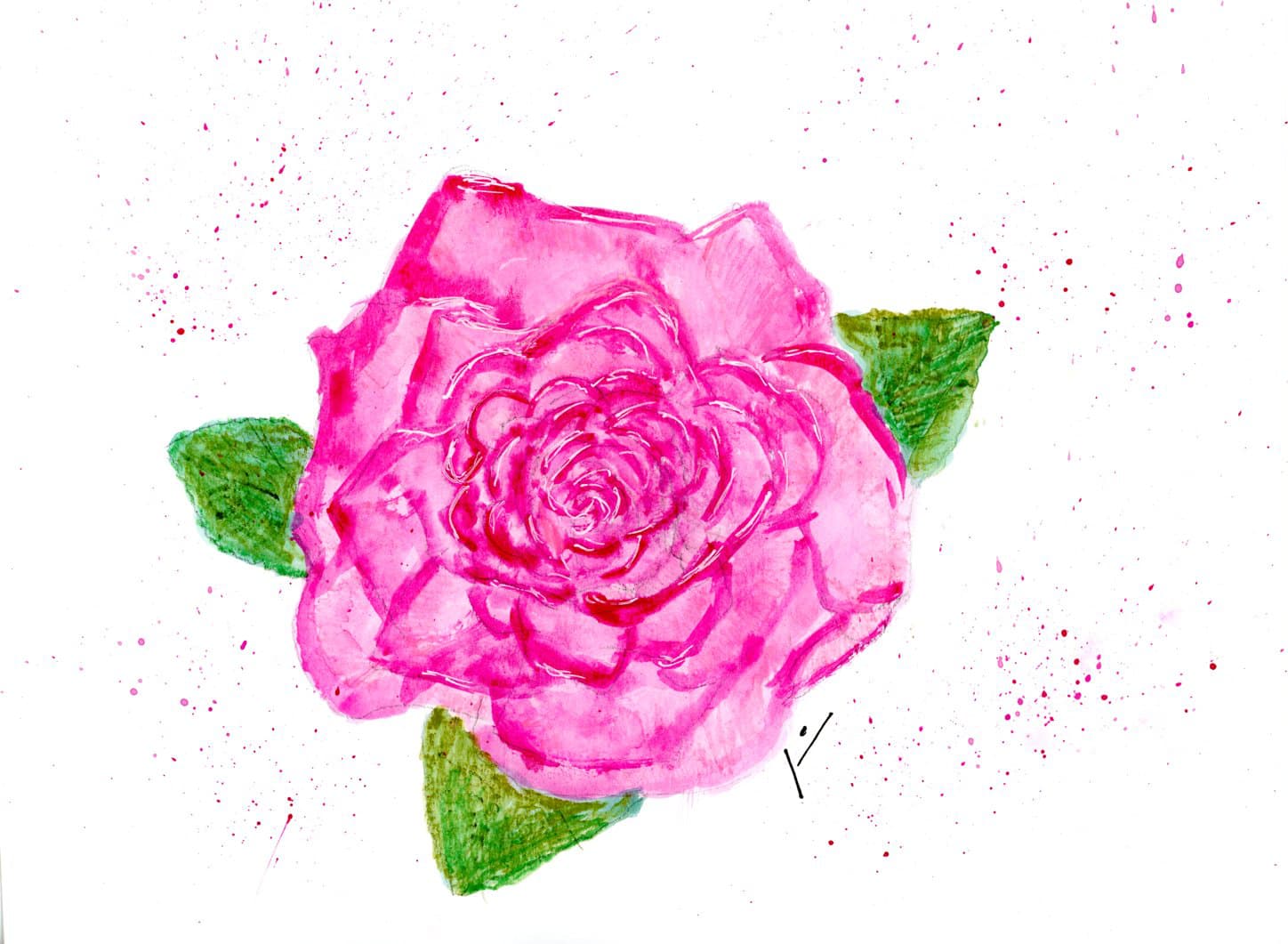 Rose