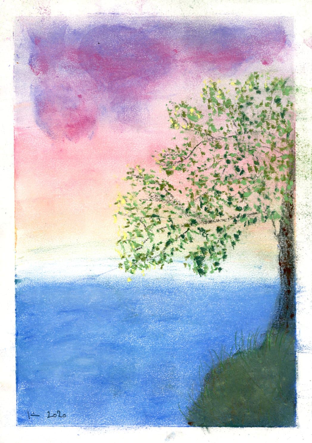 Baum am Meer